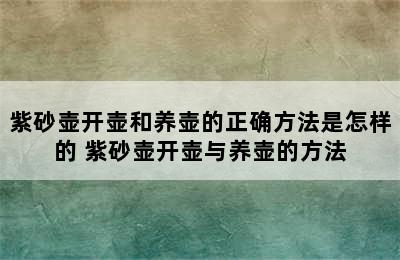 紫砂壶开壶和养壶的正确方法是怎样的 紫砂壶开壶与养壶的方法